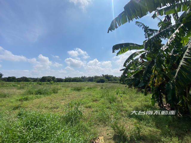 台南農地-1