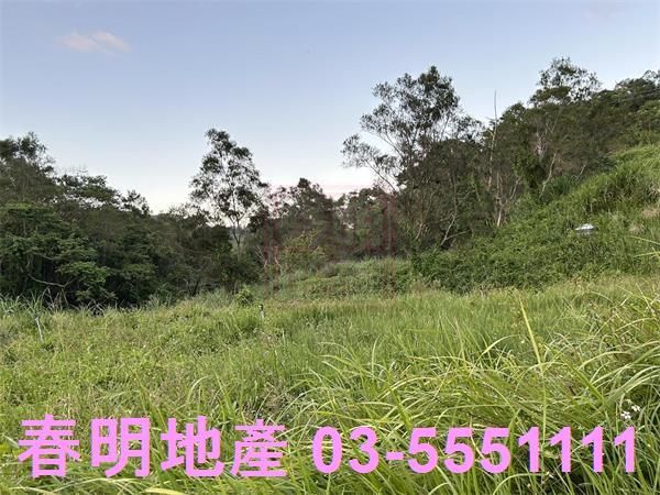 新竹竹東農地-1