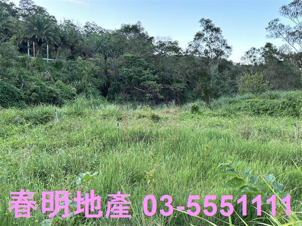 新竹竹東農地-3