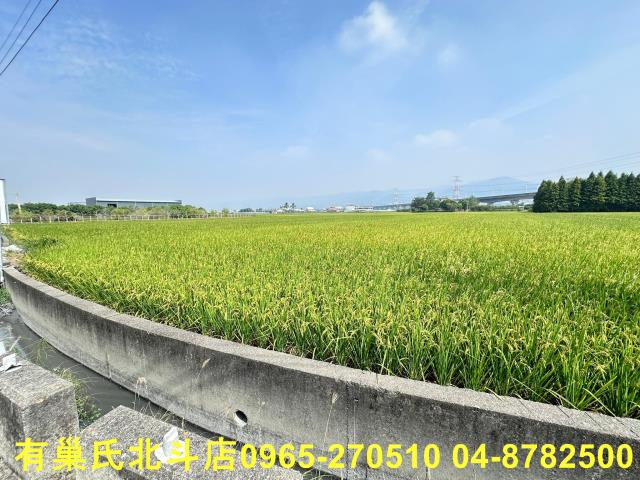 彰化社頭農地-9