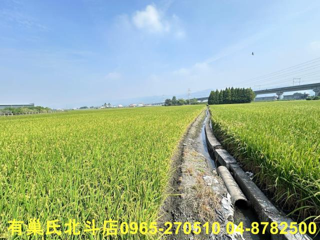 彰化社頭農地-2
