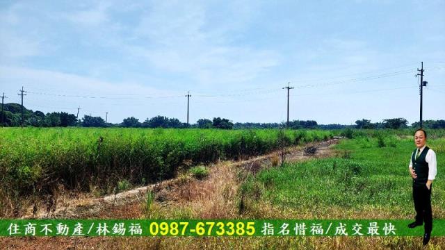 官田農地-10