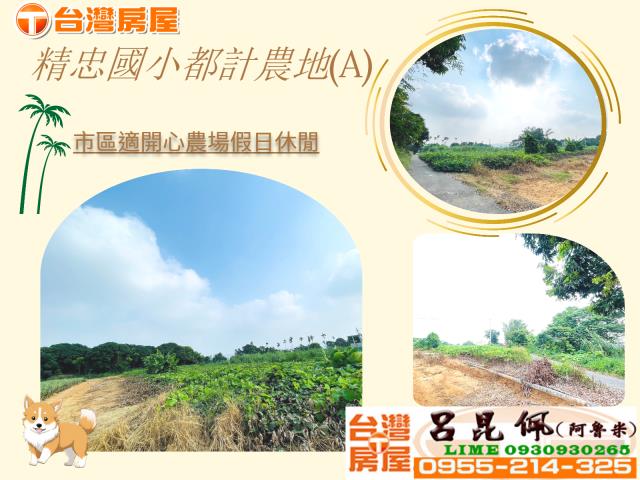 東區農地-0