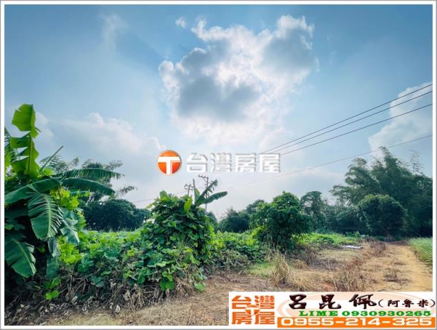 東區農地-3