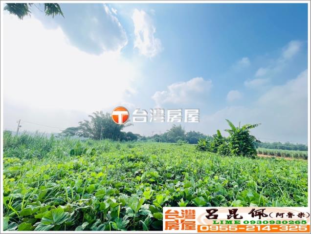 東區農地-4