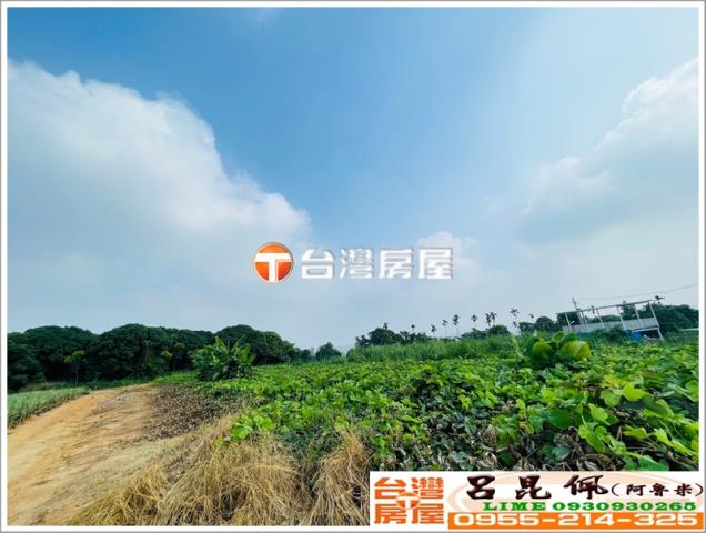 東區農地-6