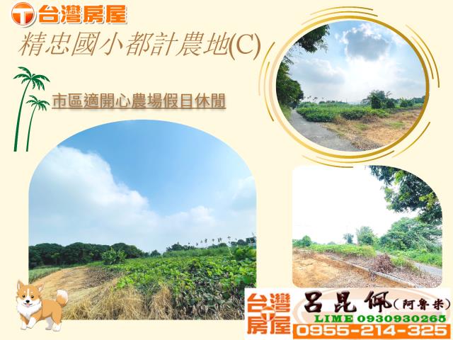 東區農地-0