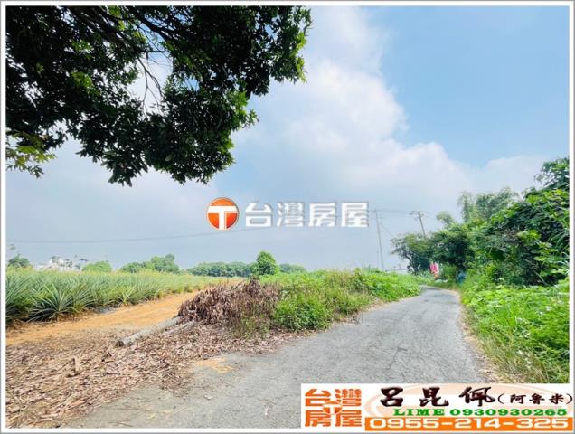 東區農地-1