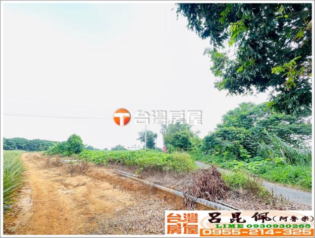 東區農地-2