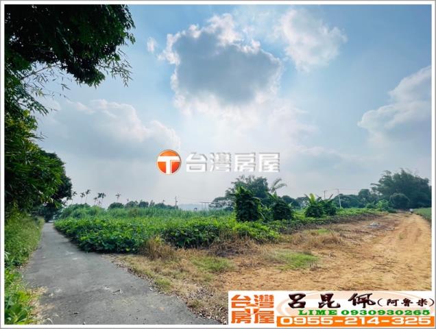 東區農地-3
