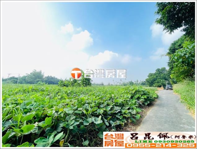 東區農地-4