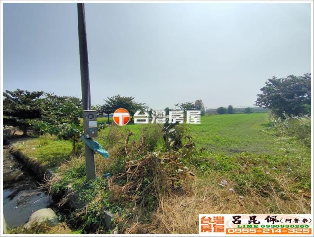 口湖農地-2