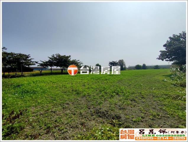 口湖農地-3