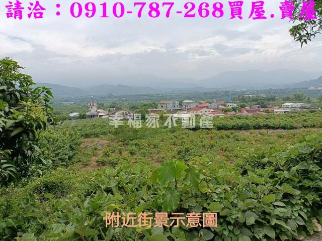 台南玉井農地-10