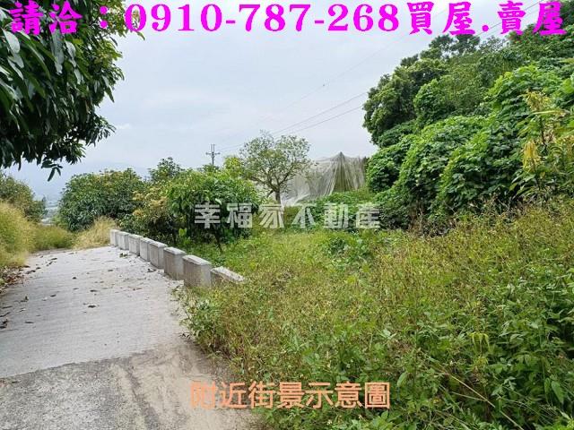 台南玉井農地-13