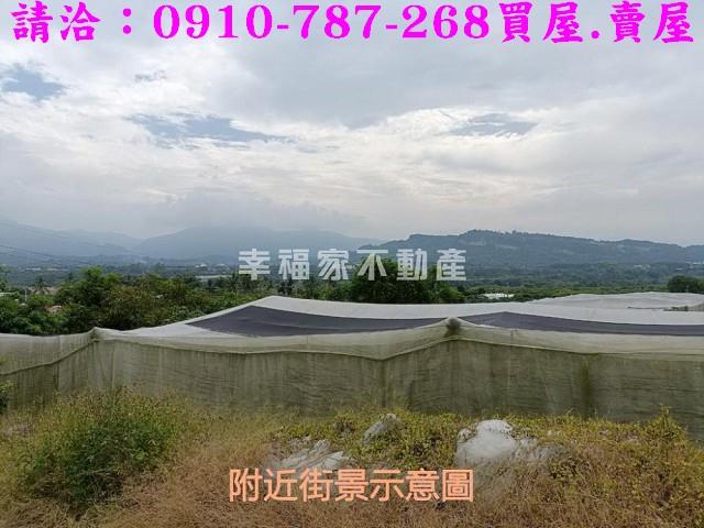 台南玉井農地-4