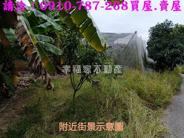 台南玉井農地-7