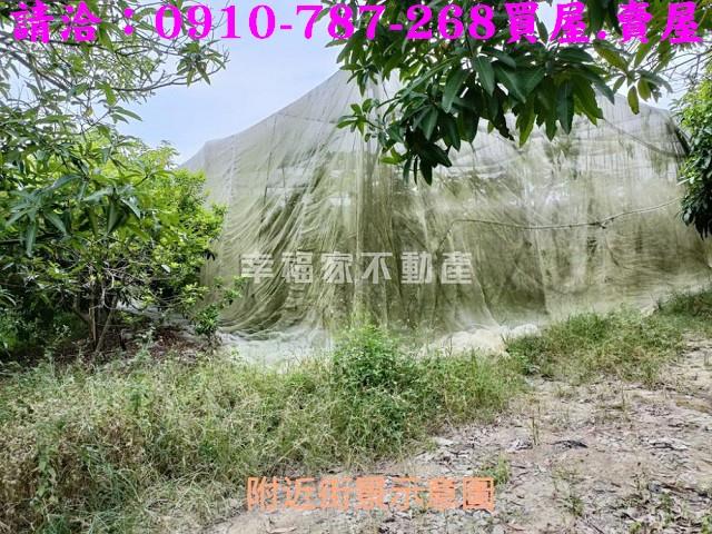 台南玉井農地-8