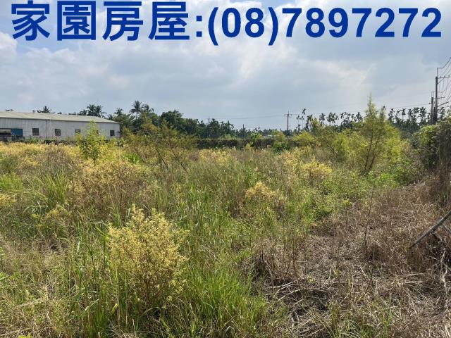 竹田農地-1