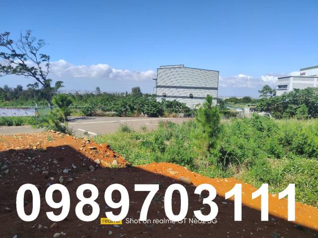 桃園楊梅工業地-1