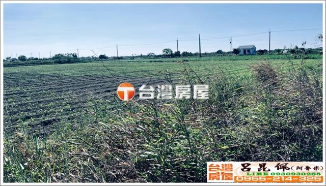 台南七股農地-2