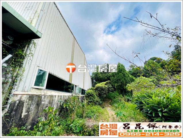 竹崎農地-5