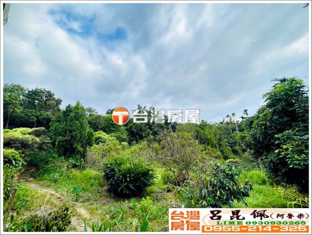 竹崎農地-6