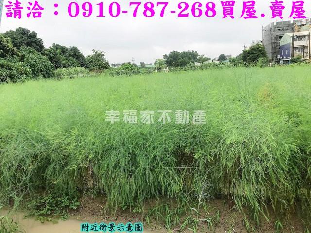 台南農地-4