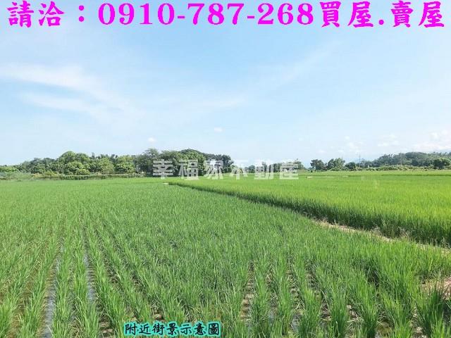 台南農地-2