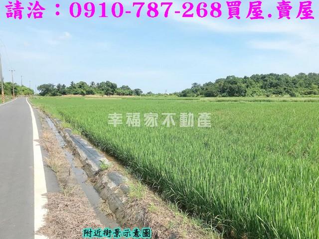 台南農地-5