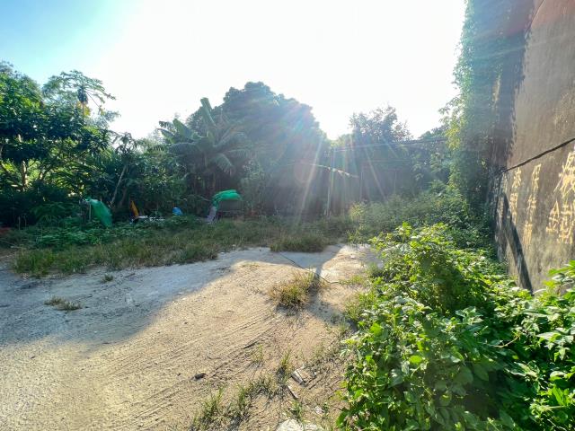 嘉義大林建地-1