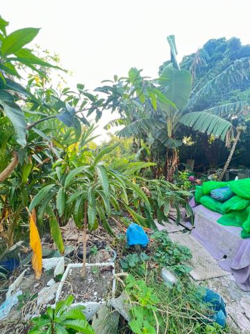 嘉義大林建地-2