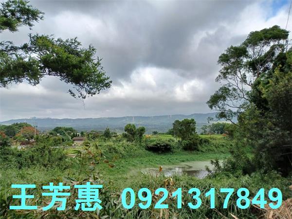 苗栗農地-13