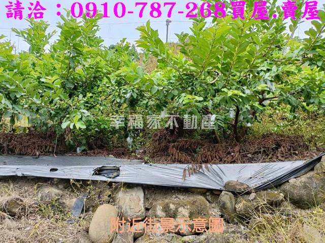 台南玉井農地-10