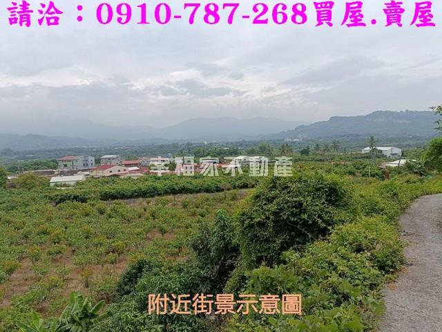 台南玉井農地-11