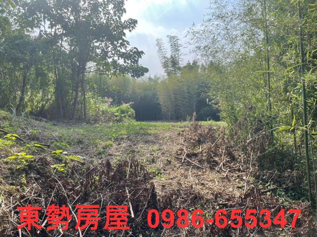 台中東勢農地-6