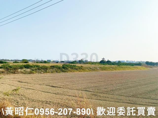 台南仁德農地-1