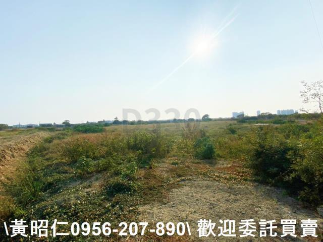 台南仁德農地-4