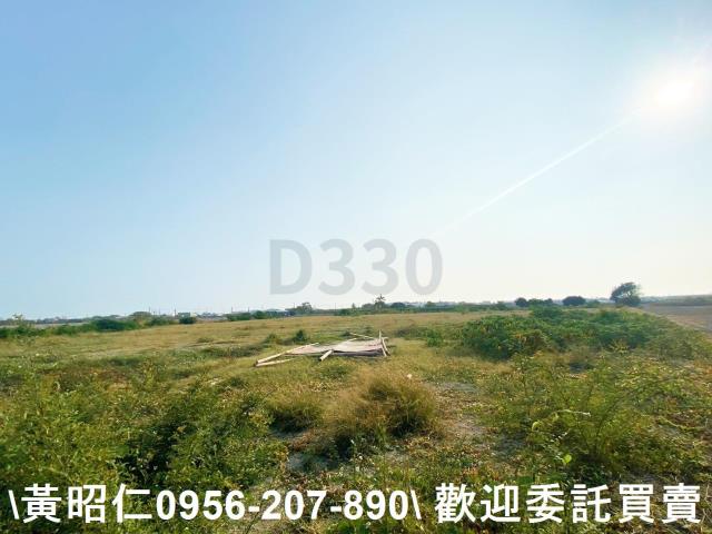 台南仁德農地-5