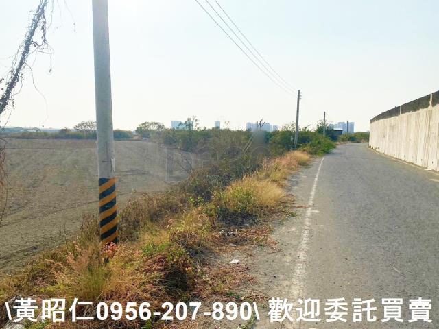 台南仁德農地-8