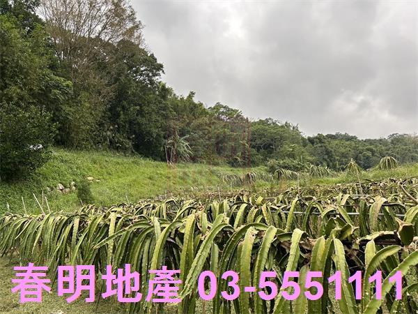 新竹農地-6