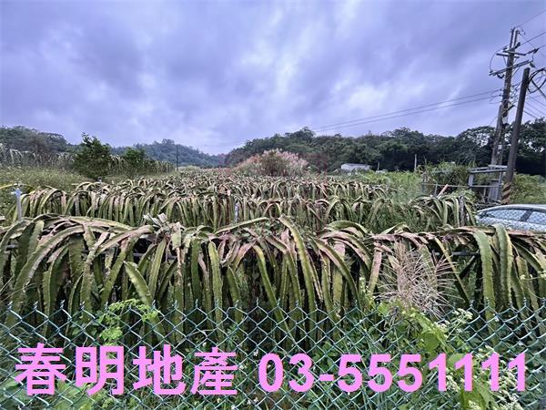 新竹農地-8