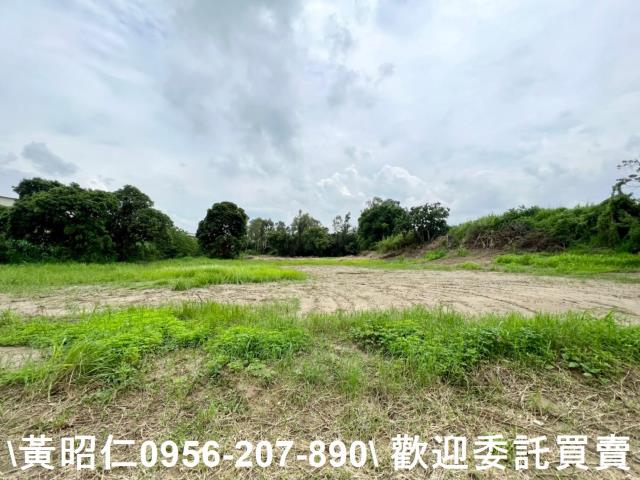 善化農地-12