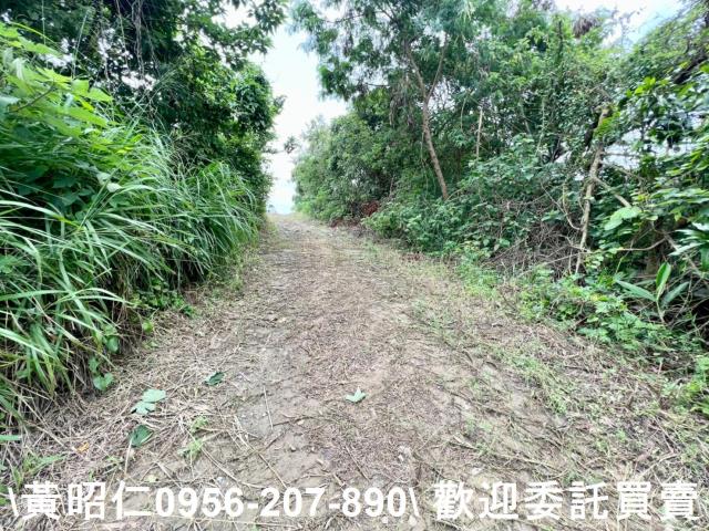 善化農地-1