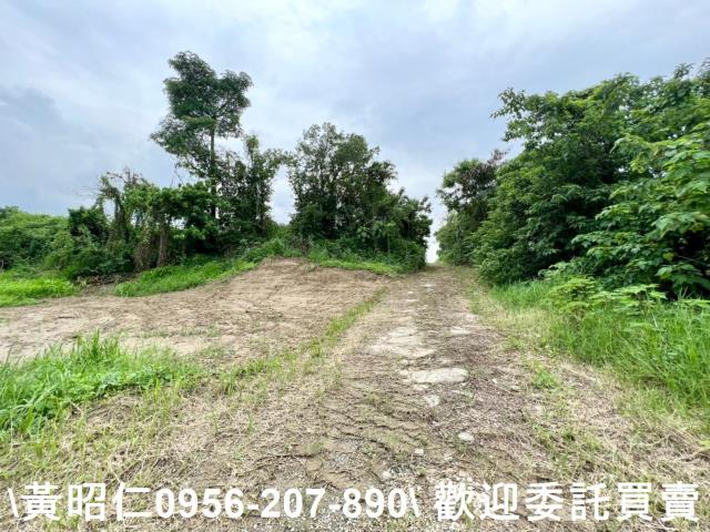 善化農地-3
