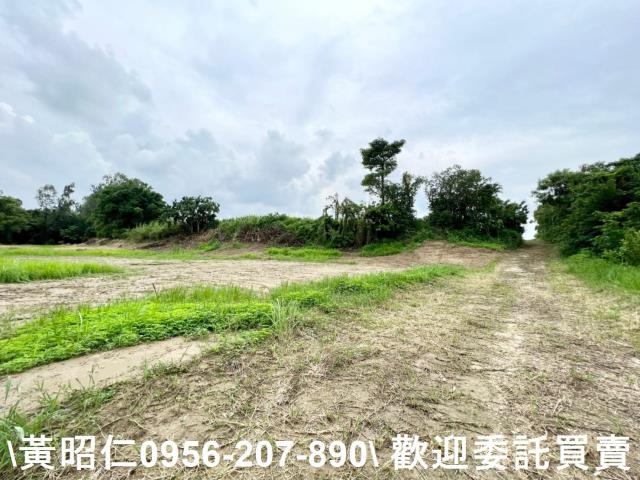 善化農地-4