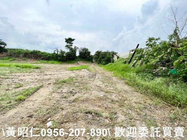 善化農地-6