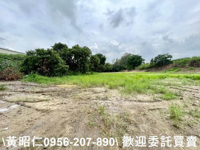 善化農地-8