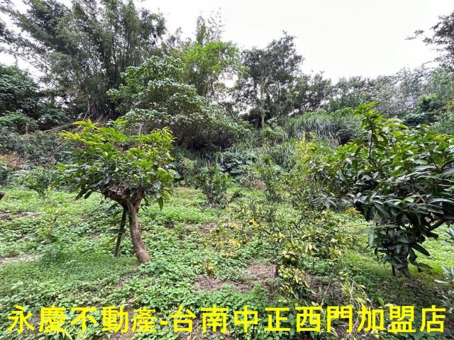 台南白河農地-10