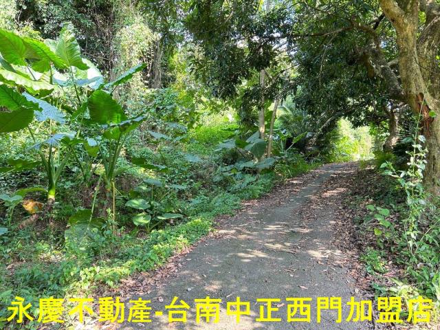 東山農地-9